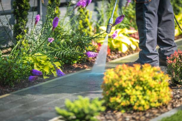 Best Machinery and Equipment Cleaning  in Creve Coeur, MO